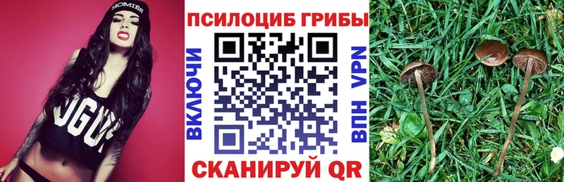 где продают Нерчинск Галлюциногенные грибы ЛСД