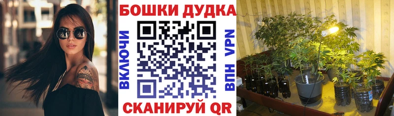 наркотики  Нерчинск  Канабис гибрид 